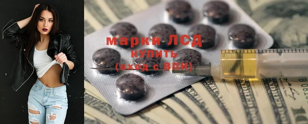 ECSTASY Алзамай