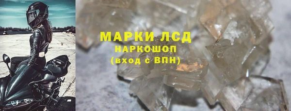 ECSTASY Алзамай