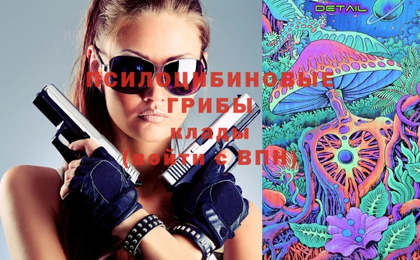 дживик Алексеевка