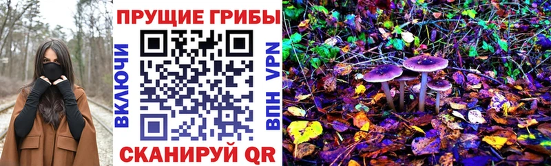 Псилоцибиновые грибы MAGIC MUSHROOMS  Циолковский 